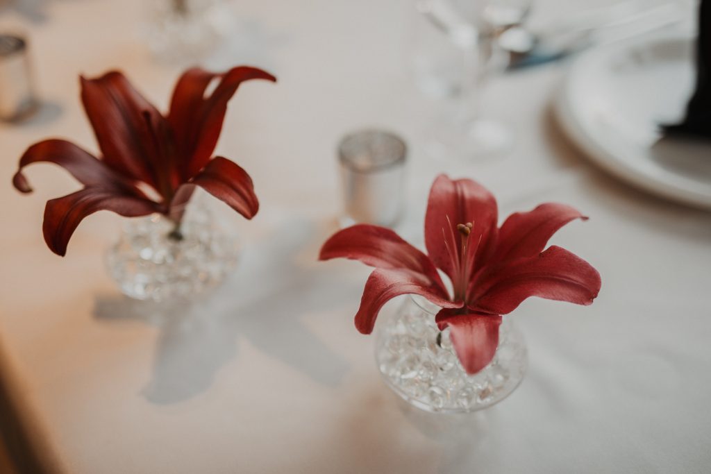 Catering restorana Damiiano u Omišu. Najbolji catering u Dalmaciji.